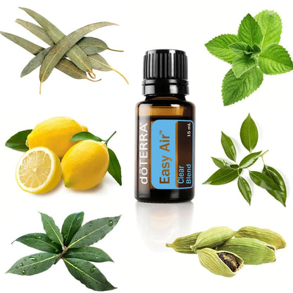 Essential Oil Blend 15ml -Easy Air